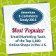 ecommerce study us top 1000